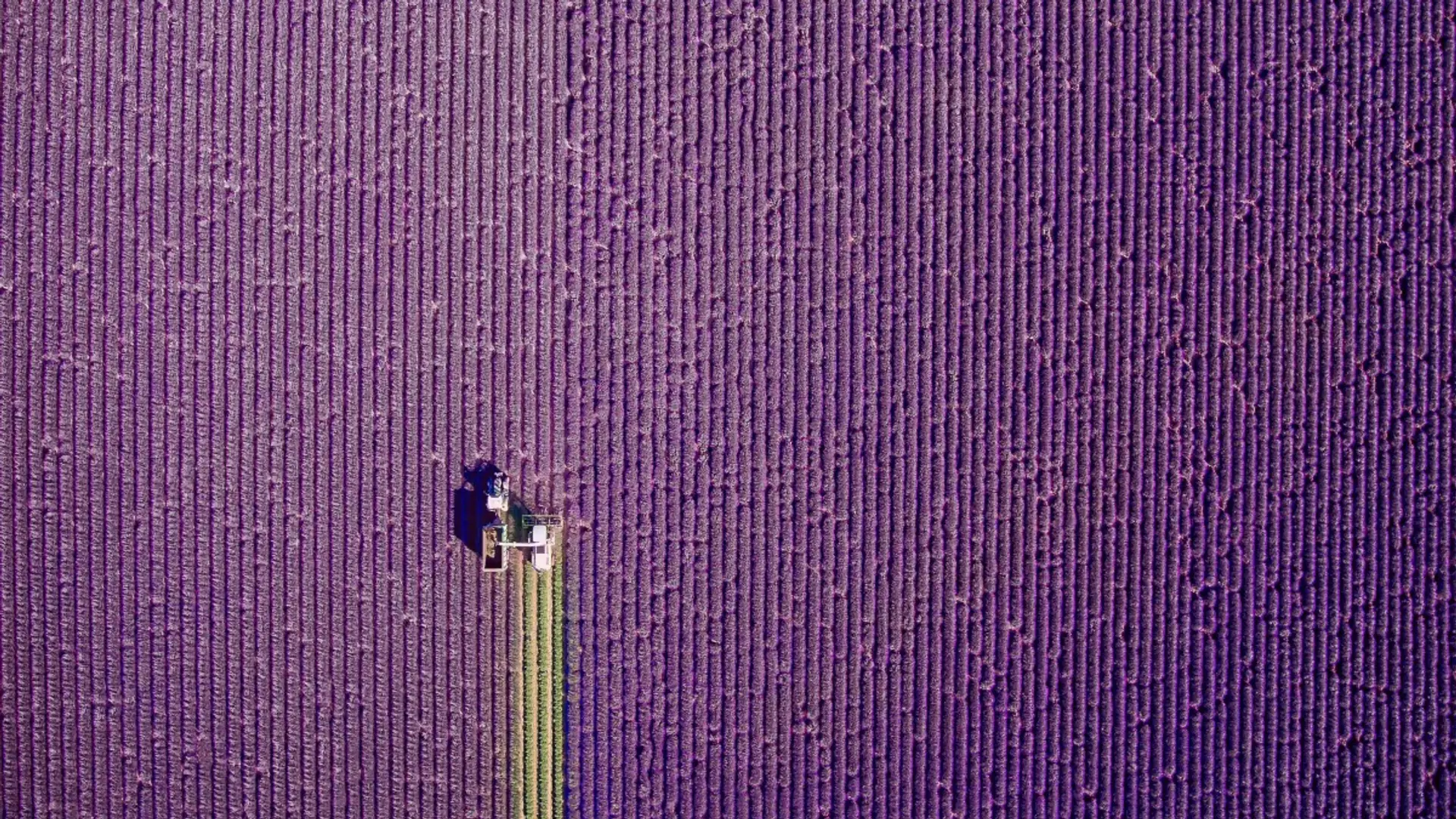 Te zdjęcia robią niesamowite wrażenie. Oto zwycięzcy konkursu fotograficznego dronów 2017