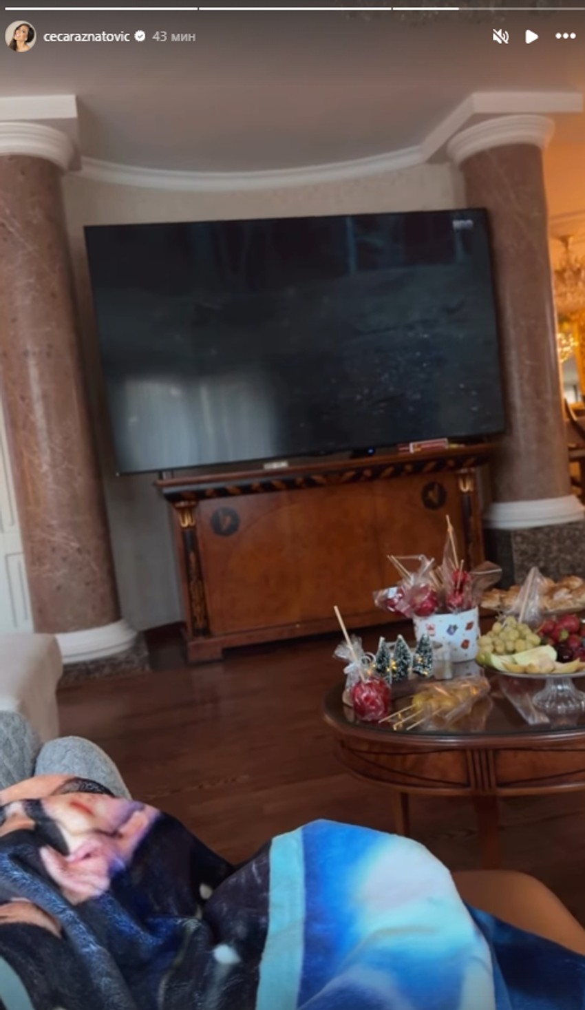 Ceca pokazala kako odmara u porodičnom domu 