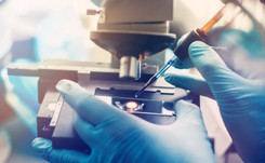 Pełna (trzywarstwowa!) skóra wyhodowana w laboratorium. Sprzyja szybszemu gojeniu