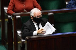 SONDAŻ: PiS w tarapatach. Duży wzrost poparcia dla KO i Hołowni