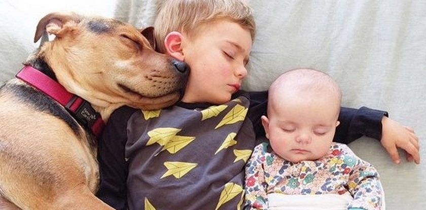 Urocze rodzeństwo i ich pies. Śpią razem