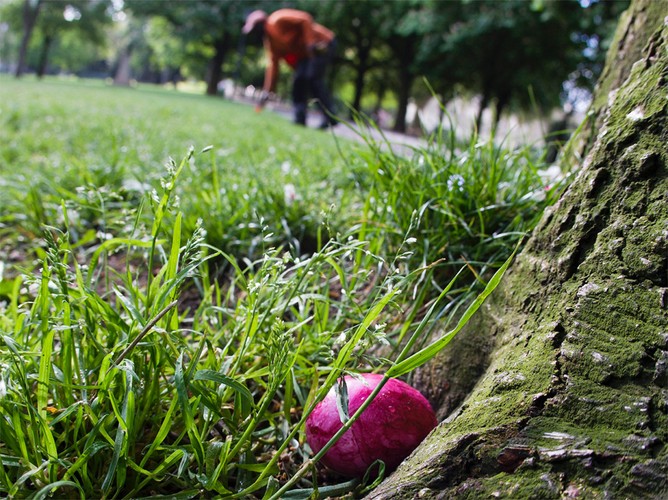 Szwajcaria i wielkie poszukiwanie jaj