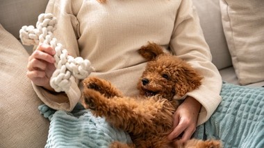 koniec opłaty za psa w 2026 roku? jest projekt, związkowcy przeciwni