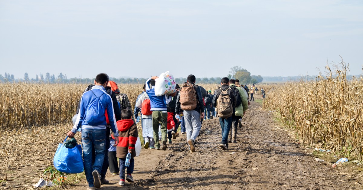 Migrants being pushed back through Germany to the Polish border. Berlin&#39;s crucial  declaration