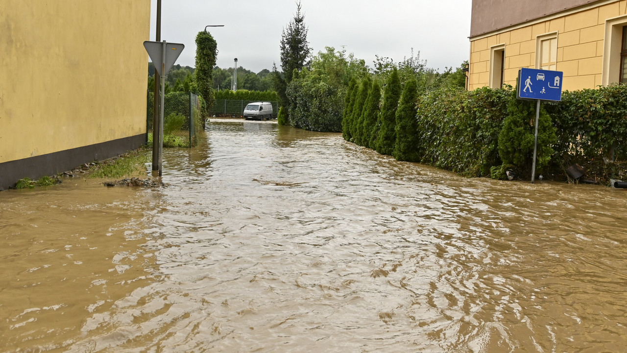 To nie Odra jest największym problemem. "Potrafią przeobrazić się w potwory"