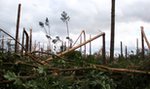 Żona polskiego muzyka drżała o życie syna. Był na obozie w Suszku