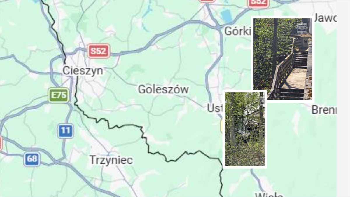 Pod turystami zawaliła się kładka do zamku w Cieszynie. Są ranni