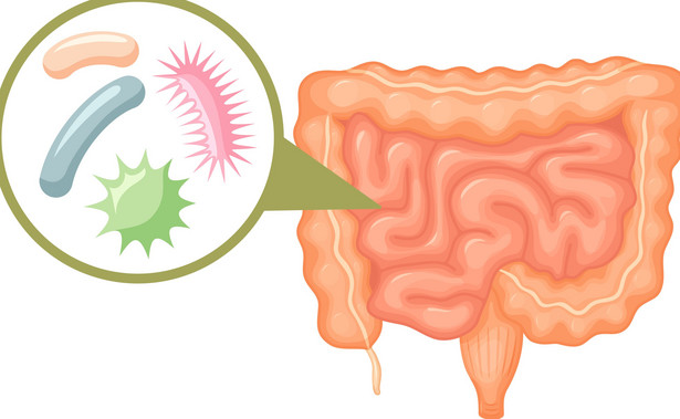 Bakterie jelitowe - dlaczego ich potrzebujemy i jak o nie dbać?