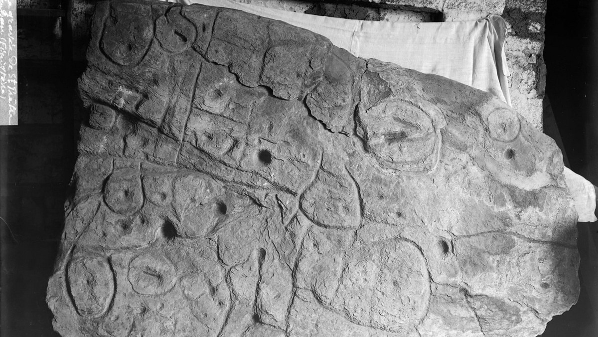 Francja: kamień z epoki brązu najstarszą trójwymiarową mapą w Europie?