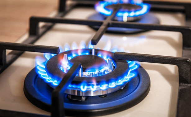 Ukraina jest w stanie zrekompensować ograniczenia dostaw gazu przez NS1