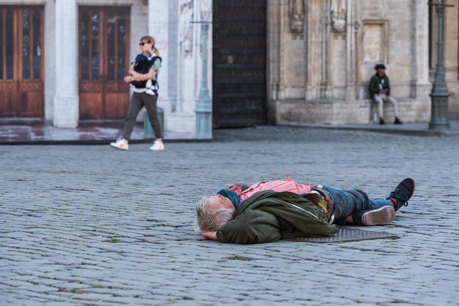 brisel beskucnik foto Werner Lerooy shutterstock 1739009843