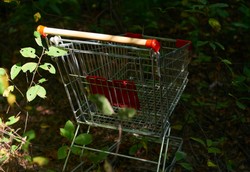 Europa Środkowa. Dlaczego brak ożywienia, skoro inflacja spadła?