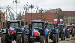 Na Warszawie się nie skończy. Rolnicy szykują duży protest za granicą