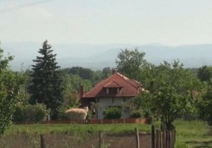 Kuća Miroslava Ilića