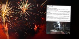Przyszli pod bramę i odpalili fajerwerki. Zoo pokazało skandaliczne nagranie [WIDEO]