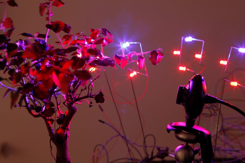 "Samoodrživi sistemi apsurda"