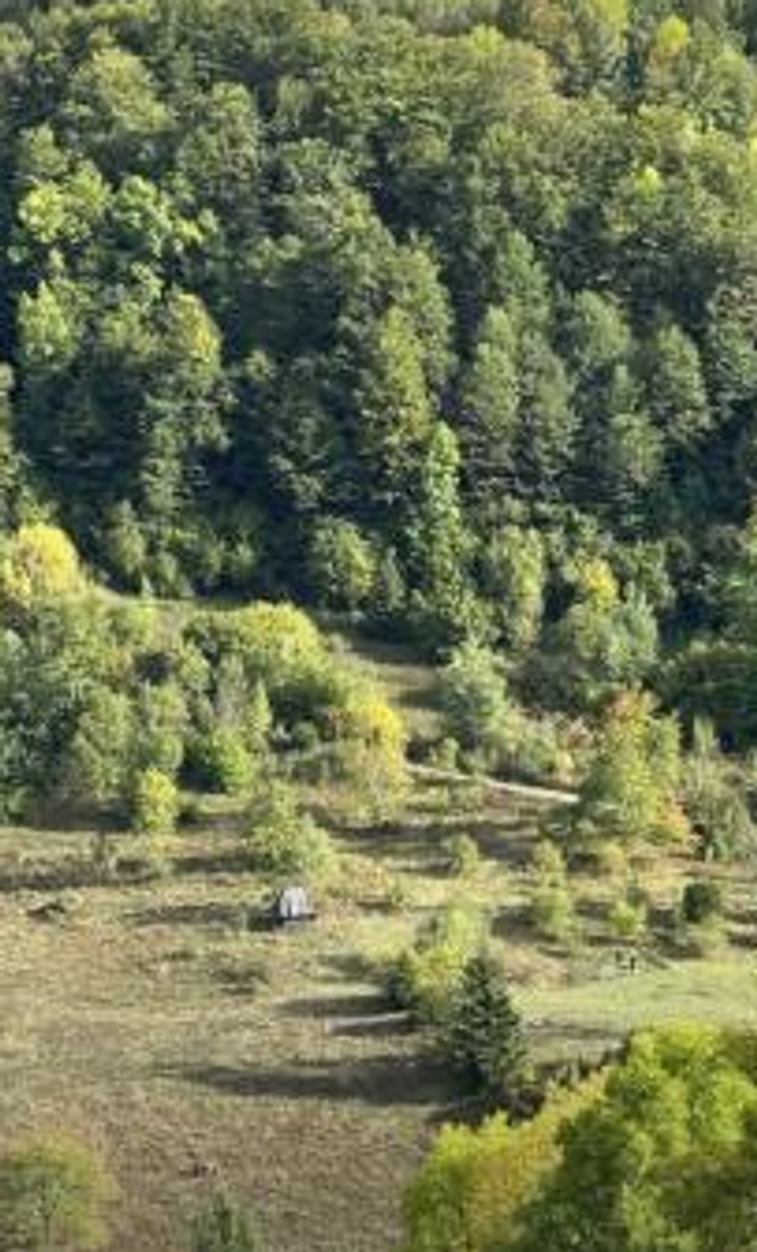 Dragica Zlatić kuća na planini