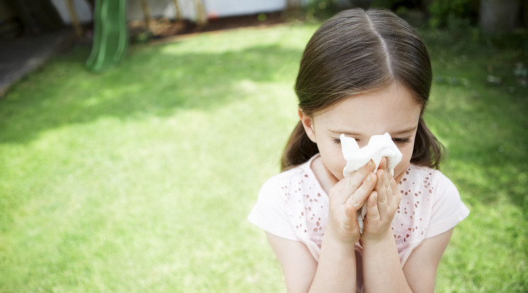 Az allergiás betegségek kimagaslóan megugrottak az elmúlt években / Fotó: Northfoto