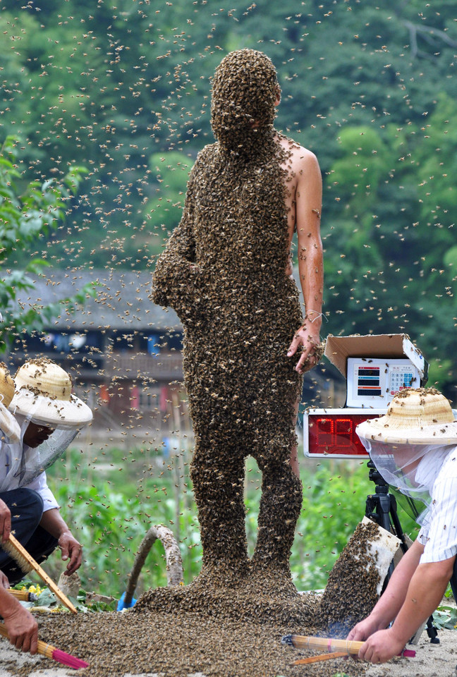 'Bee Bearding' Contest In Hunan