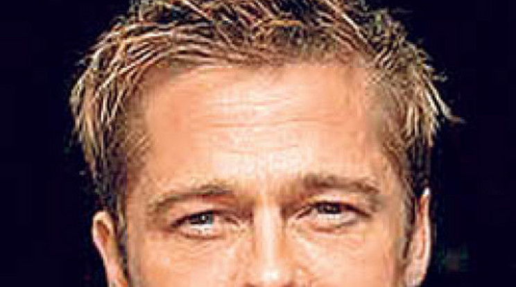 Brad Pitt kibérelhető