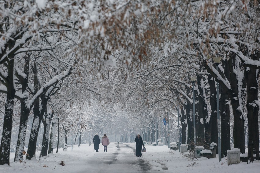 Ovako je izgledala zima 2018/2019.