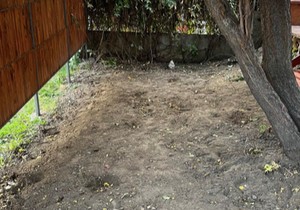 Uništena bašta u Svratištu u Krfskoj ulici