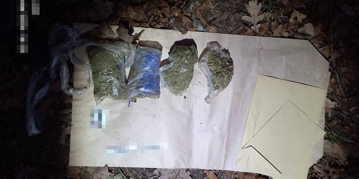 47-latek z Legnicy ukrywał narkotyki w lesie.