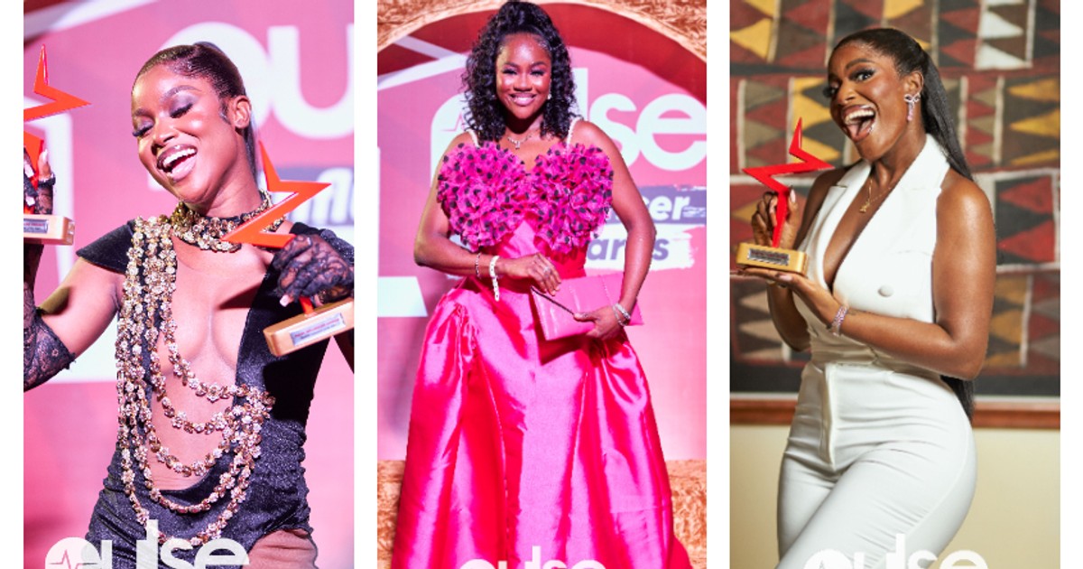 Check out the best-dressed influencers at the Pulse Influencer Awards - Vimarsana News