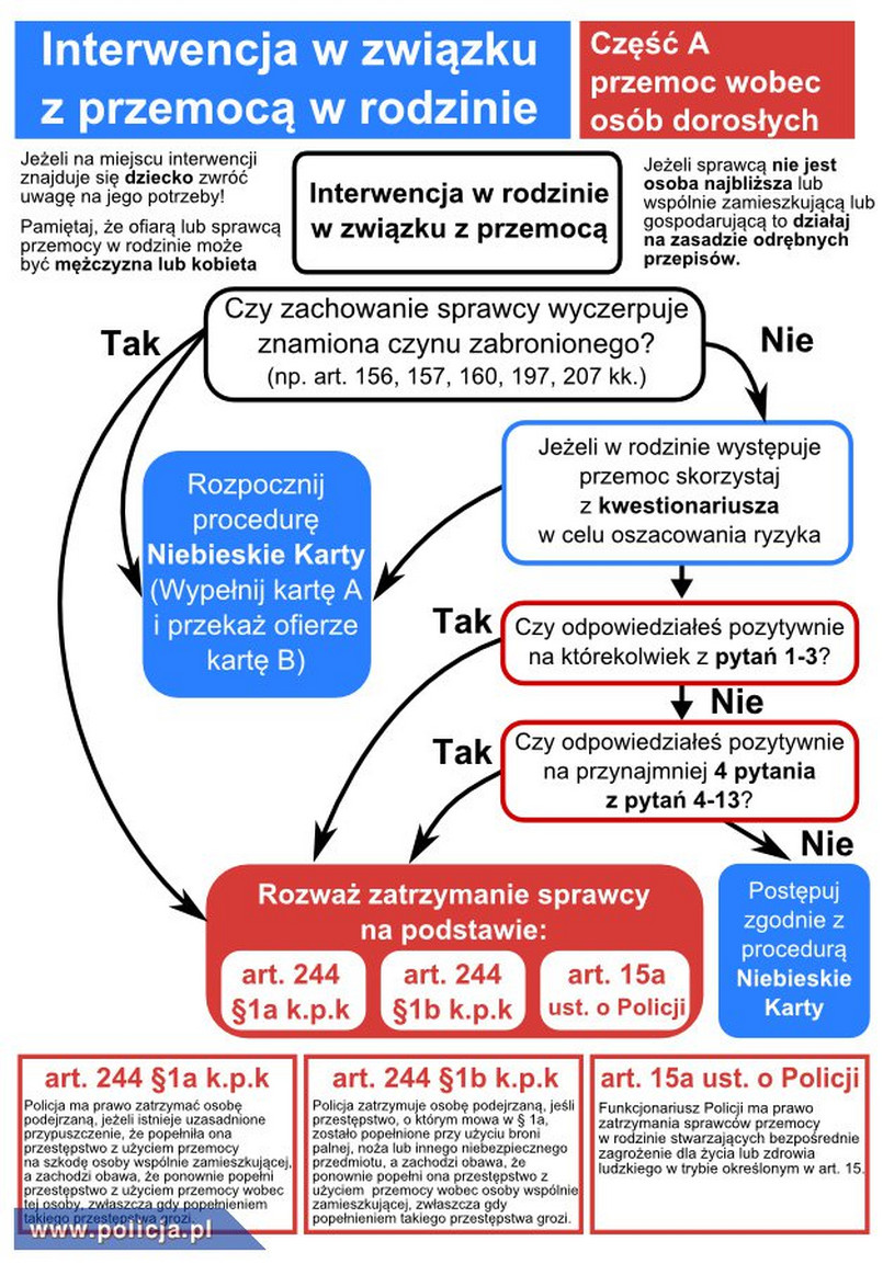 Interwencja w związku z przemocą w rodzinie: Przemoc wobec osób dorosłych / źródło: policja.pl