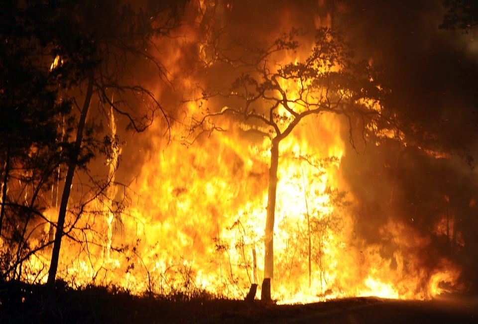 USA TEXAS WILDFIRES