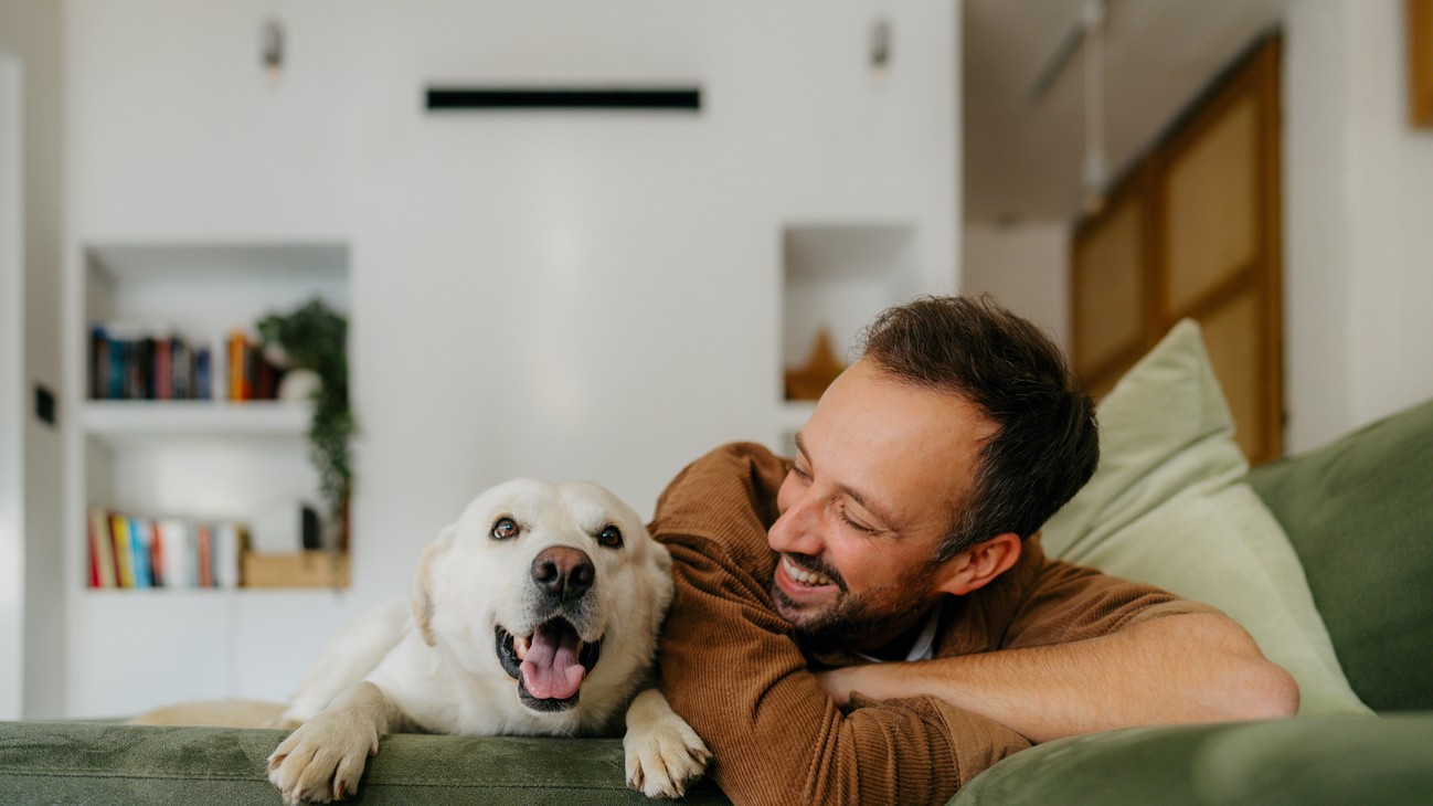 Koľko má váš pes v skutočnosti rokov? (Ilustračný obrázok)