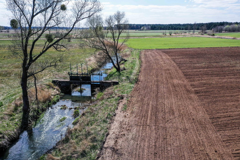 Kłobuck. Susza na Śląsku