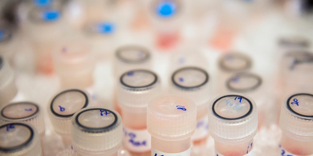 Vials containing biological samples are stored on ice to keep them fresh before being analysed to see how they are affected by chemotherapy drugs at the Cancer Research UK Cambridge Institute on December 9, 2014 in Cambridge, England.