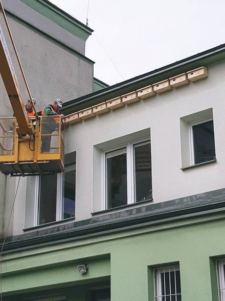 Budki dla jerzyków w Starachowicach