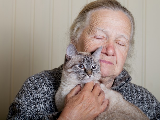 Dirljivo pismo veterinara: Saveti kako podrška posle gubitka ljubimca može izlečiti srce 