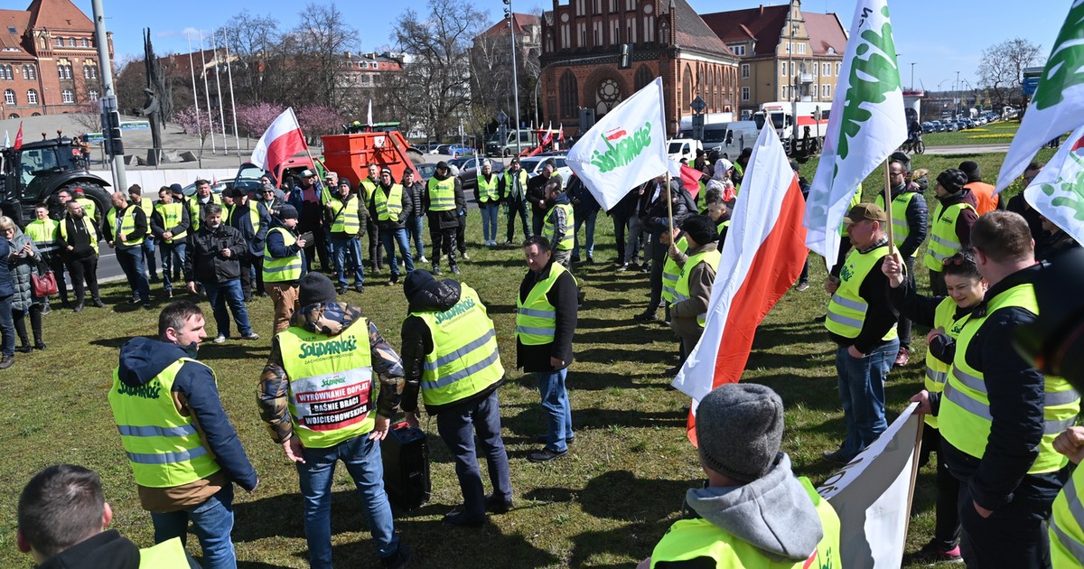 Bez badań trafiło do użytku. Co jest w ukraińskim zbożu?