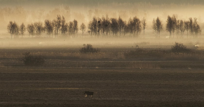 Kolejny dzień walki o Biebrzę. Dramatyczne zdjęcia