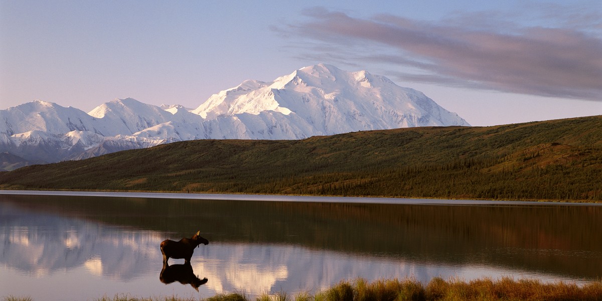 Widok na górę McKinley, Park Narodowy Denali, Alaska, USA.