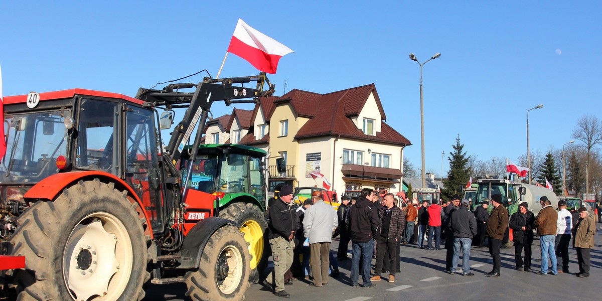 Hodowcy blokadą protestują przeciw cenie skupu świń