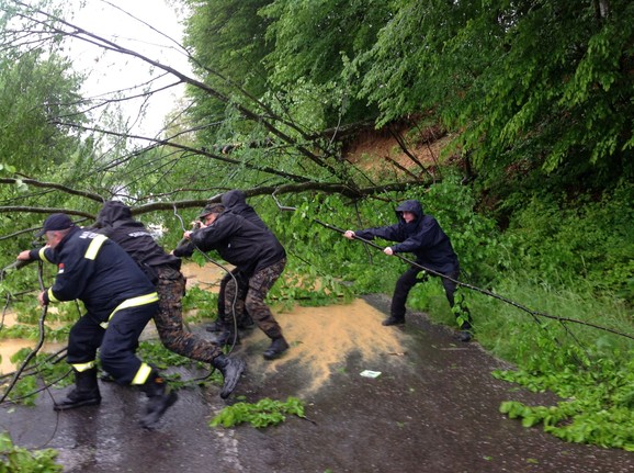 M9Kk9lLaHR0cDovL29jZG4uZXUvaW1hZ2VzL3B1b