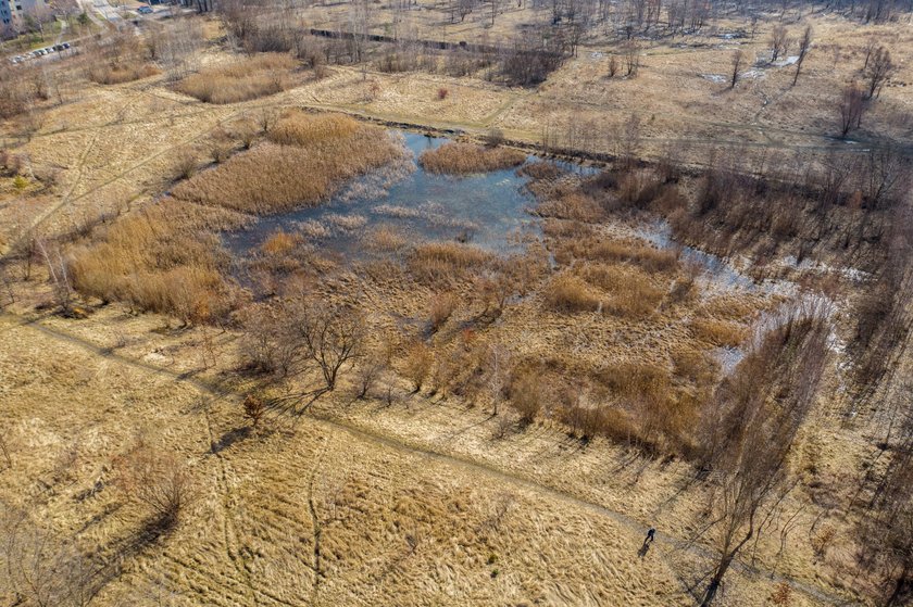 Za 7 mln zł powstanie miejski park między Bogucicami a Dąbrówką Małą w Katowicach