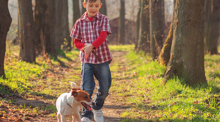 Akárcsak a gyerekekkel, a kutyákkal is legyünk türelmesek a kirándulás során. Hagyjunk elegendő időt, hogy ismerkedjenek
a szokatlan környezettel /Fotó: Shutterstock