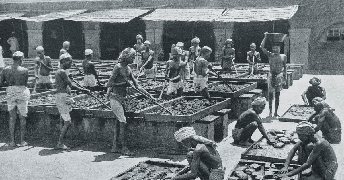 Indie. Do cna wyzyskana perła