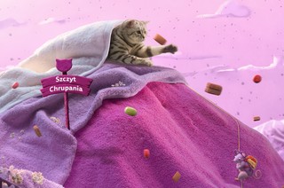 9 na 10 opiekunów kotów w Polsce uważa, że ich kot ma unikalną osobowość – sprawdź, co czyni pupila szczęśliwym