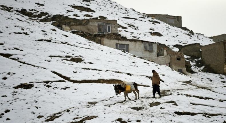 An Afghan man walks with a donkey as they head to collect water in Kabul, on January 27, 2017