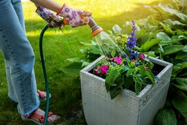 Zalivate cveće redovno, a ono ipak vene? Evo kako ćete ga spasiti od propadanja