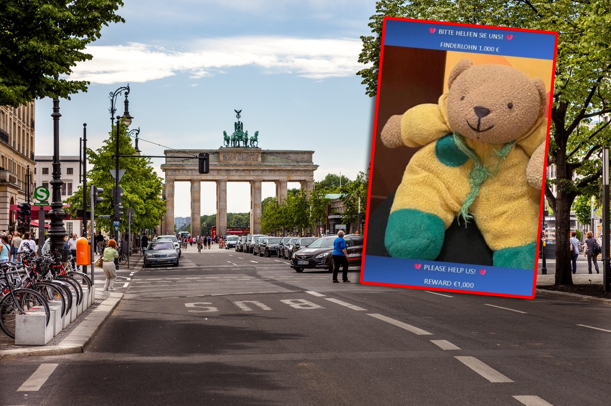 1 tys. euro dla znalazcy misia. Historia, która poruszyła Niemcy