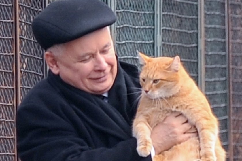 Jarosław Kaczyński, prezes PiS