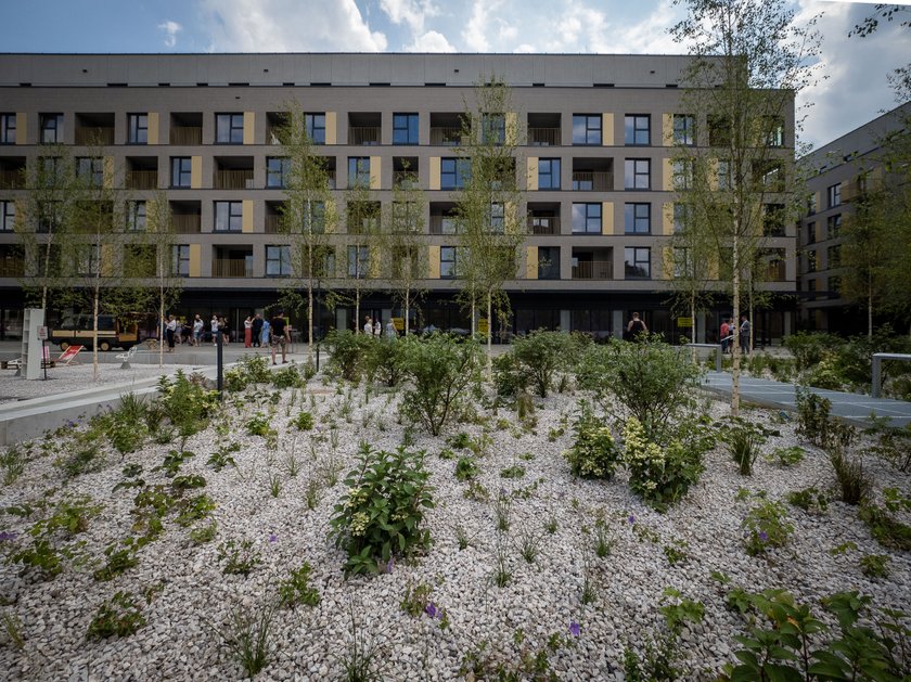 Ogrody Anny otwarte - miejski dziedziniec na terenie kompleksu Fuzja