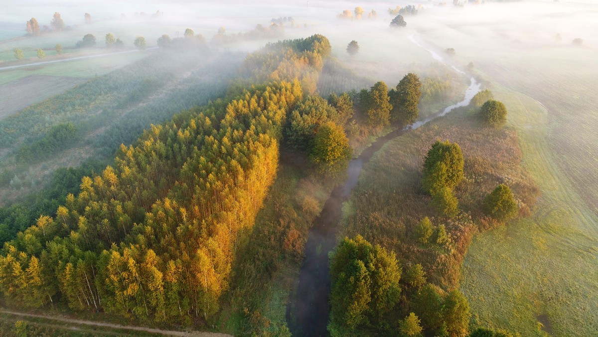 Aerial landscape